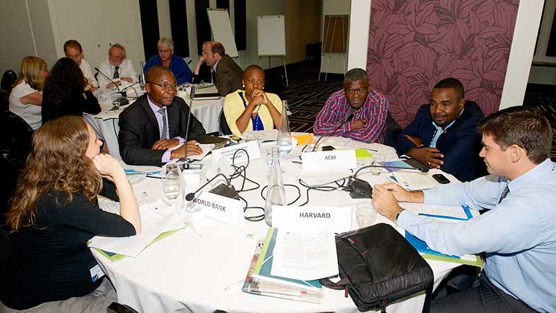 Première réunion annuelle de la PIE (Johannesburg)